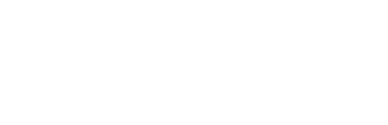 TelecomNetwork Inc. Logo